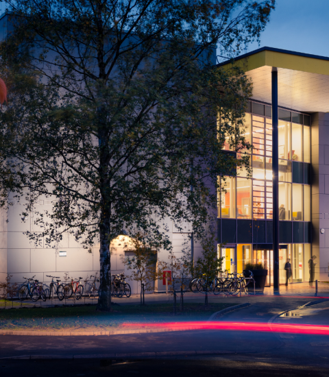 Night view of Spring Lane Building, illuminated with vibrant lights and surrounded by autumn trees at the University of York