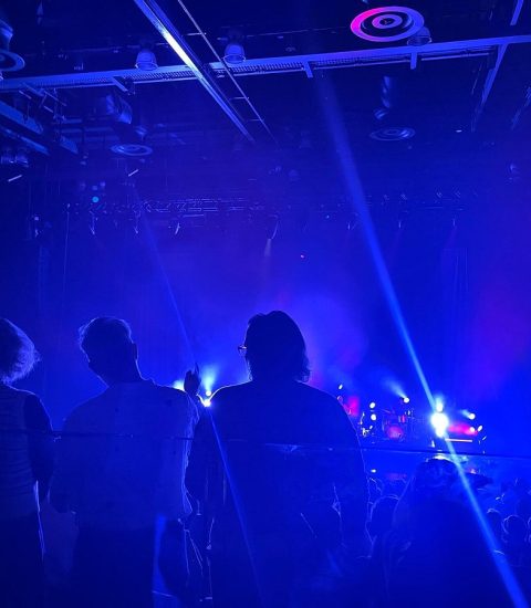 Silhouetted crowd at a vibrant concert with blue stage lights illuminating the venue for an electrifying performance